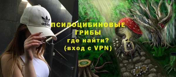 гашик Волосово