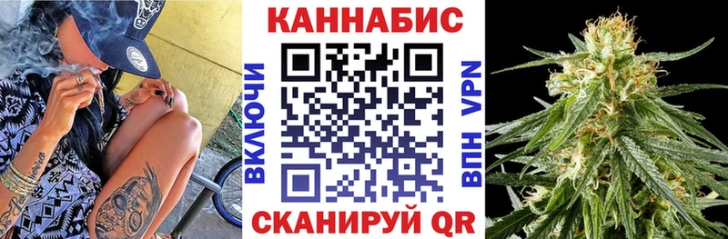 Купить закладки  Палласовка  Конопля сатива 